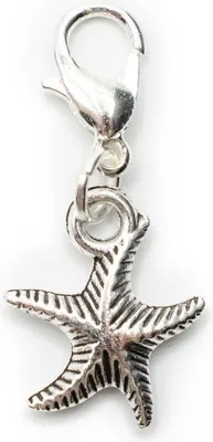 Produktbild von Seestern Charm Miniblings Zipper Pull Anhänger Stern Strand Sommer Urlaub Meer