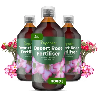 Obrázok produktu pre Desert Rose, tekuté hnojivo, 3x 1 liter – vzorec NPK 2-1-8 – vhodné pre sukulenty – pre zdravé listy a bohaté kvitnutie – podporuje rast koreňov a vitalitu – organické
