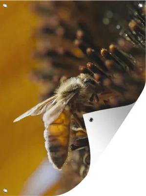 Produktbild von MuchoWow®
