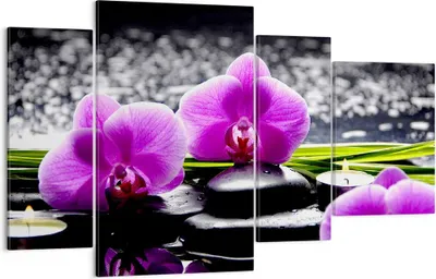 Produktbild von Bild auf Leinwand - Leinwandbild - Orchidee Natur Wasser Blume - 120x70cm - Wand Bild - Wanddeko - Leinwanddruck - Bilder - Kunstdruck - Wanddekoration - Leinwand bilder - Wandkunst - DL120x70-2658