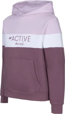 Produktbild von 4F Sweatshirts JBLD002, HJL22JBLD00260S, Größe: 128