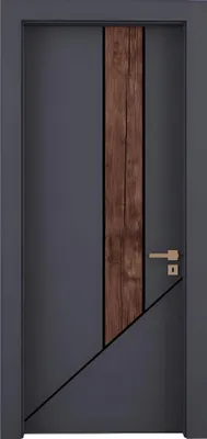 Produktbild von Graue Wohnungstür Designer Robuste Innentüren Hoteltür