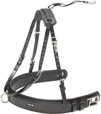Produktbild von Zilco Elite Einspänner Brustblatt Set Full