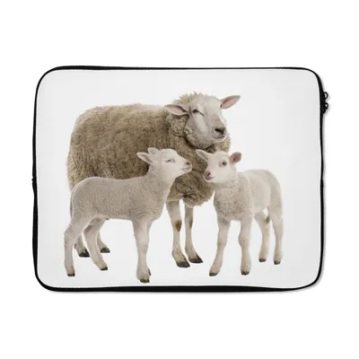 Produktbild von MuchoWow® Laptop Hülle 17 Zoll Laptoptasche Schafe - Tiere - Lamm - Zipper - Schutzabdeckung