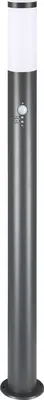 A tall, cylindrical outdoor light fixture with a brushed metal finish and a white top.