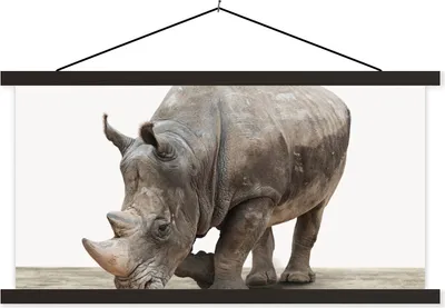 Produktbild von MuchoWow® Textilposter Nashorn - Jungen - Wildtiere - Kinder - Mädchen - Tiere 90x45 cm mit schwarzem Rahmen - Klemmleisten