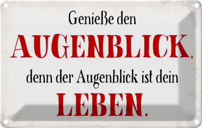 Produktbild von vianmo Blechschild 20x30 cm genieße den Augenblick Leben Dekoration Spruch Zitat