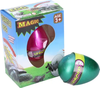 Obrázok produktu pre Korytnačka rastúca z vajíčok 6,5 cm