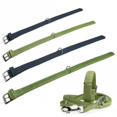 Produktbild von Karlie Buffalo Halsband - Hellgrün - 55cm / 30mm