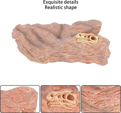 Obrázok produktu pre Model dinosaurov v krajine, hračka, statická figúrka zvieraťa s podstavcom na zbieranie a vystavovanie