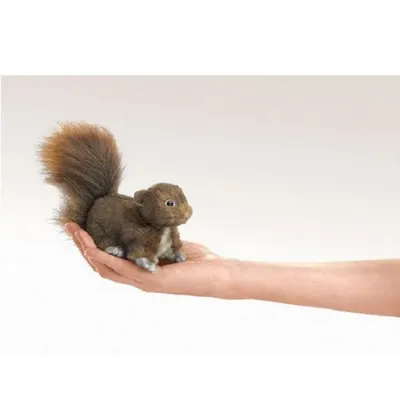 Produktbild von Folkmanis Red Squirrel, Fingerpuppe, Tier, 1 Stück(e)