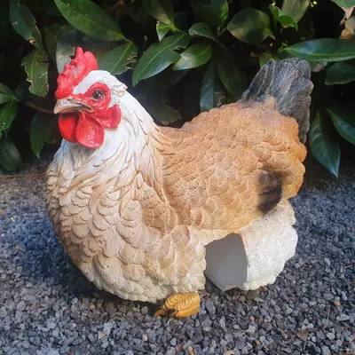 Immagine prodotto di Statua da giardino pollo marrone per recinzione 20 cm