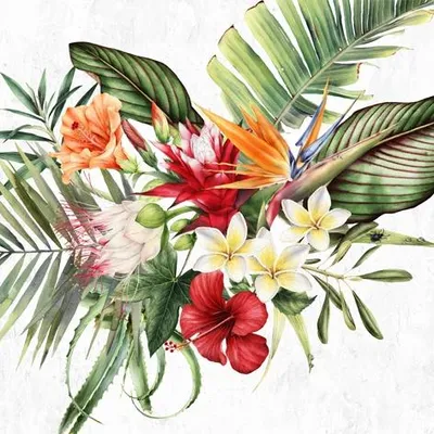 Produktbild von Servietten Papier 33x33cm 3-lagig Tropische Blüten & Blätter 20 Stück