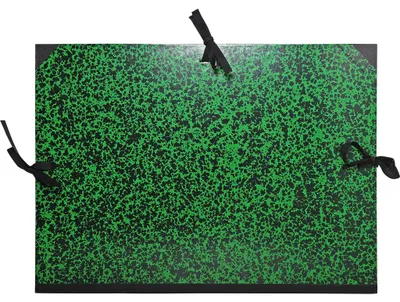 Image de Exacompta 5x Carton à dessin Annonay 37x52 cm B3 et 1/2 raisin Vert 532200E