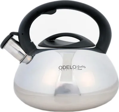 Image de bouilloire LUCIO 3l en acier brillant ODELO | OD1735