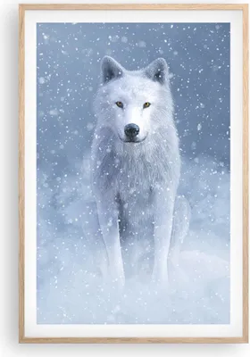 Produktbild von Gerahmtes Poster - Rahmen in heller Eiche - Weiß Wolf Schnee - 61x91,5 cm - Wand Bild - Wanddeko - Wandbilder - Kunstposter - Wandposter - Bilderrahmen - Bilder - Kunstdruck - P2NPA61x91-5006