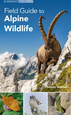 Produktbild von Field Guide to Alpine Wildlife