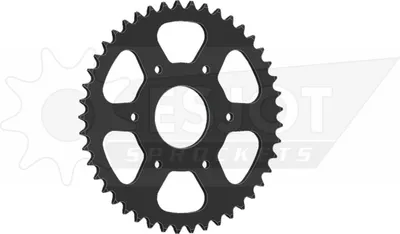 Immagine prodotto di Pignone Esjot 520 44z acciaio nero
