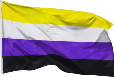 Produktbild von PHENO FLAGS Nichtbinär Flagge 90 x 150 cm Nicht Binär Fahne LGBT 2 Metallösen