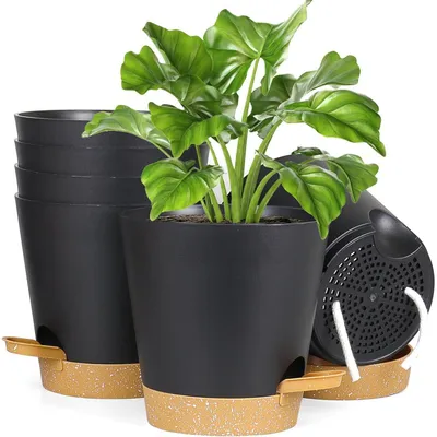 Produktbild von Blumentopf Selbstbewässernd 6er Set 12.7cm Schwarz mit Untersetzer