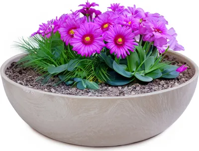 Image de Jardinières pour l'extérieur Jardinières décoratives rondes sable beige 25 cm