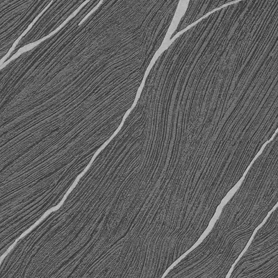 Produktbild von Strukturtapete 10440-15 Vliestapete Grafik 0.53 x 10.05 m Erismann Opus Schwarz