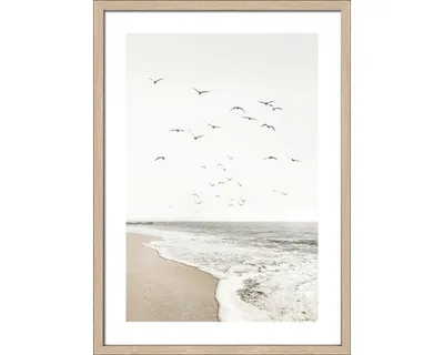 Produktbild von Gerahmtes Bild Seagulls On The Beach III 53x73 cm