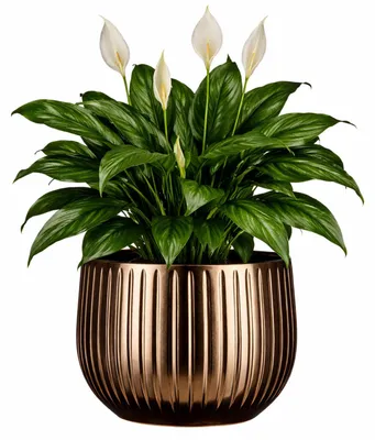 Produktbild von Mica Decorations Pflanzentopf - Keramik - weis glanzend / gerippt - D29 x H25 cm - Blumentopf Pablo