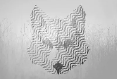 Produktbild von Digitaldruck-Tapete Fox Graphic 1 Architects Paper (1031803)