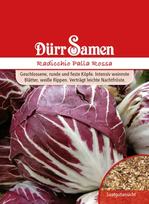 Produktbild von Radicchio Palla Rossa | Radicchiosamen von Dürr Samen