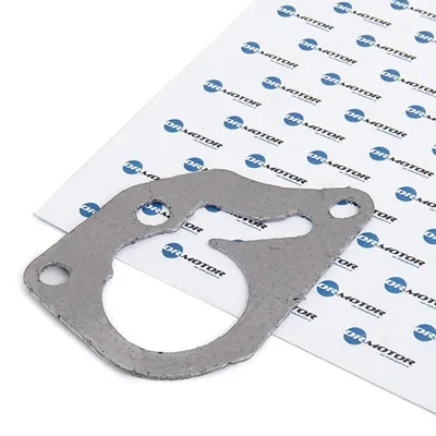 Immagine prodotto di Guarnizione Pompa Renault 1.9Dci 01-