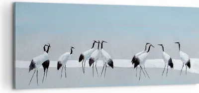 Produktbild von Bild auf Leinwand - Leinwandbild - Einteilig - Vögel Kraniche Natur - 100x40cm - Wand Bild - Wanddeko - Wandbilder - Leinwanddruck - Bilder - Wanddekoration - Leinwand bilder - AB100x40-4921