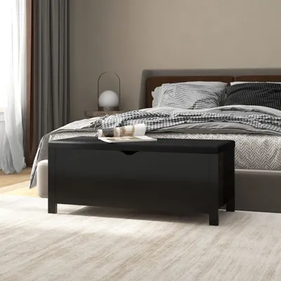 Immagine prodotto di The Living Store Panca con contenitore Cuscini Nero 105x40x45cm Materiale in legno