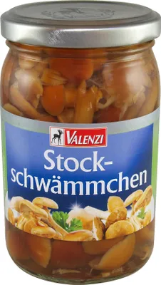 Image de Valenzi éponges à bâton 155g