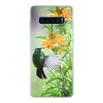 Produktbild von MuchoWow® Handyhülle Schutzhülle Hülle für Samsung Galaxy S10 Lite Nahaufnahme eines bunten Vogels neben Pflanzen mit orangefarbenen Blüten Silikon Softcase Handy Hülle - Schutz