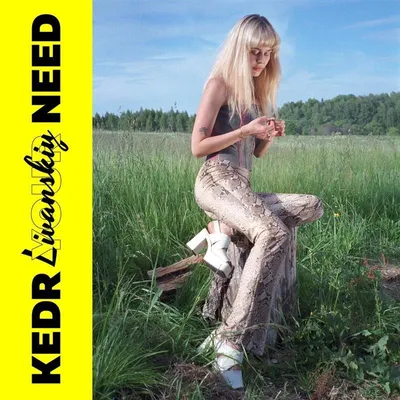 Produktbild von Livanskiy, K: Your Need