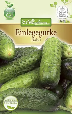 Produktbild von Einlegegurke Hokus | Einlegegurkensamen von N.L. Chrestensen