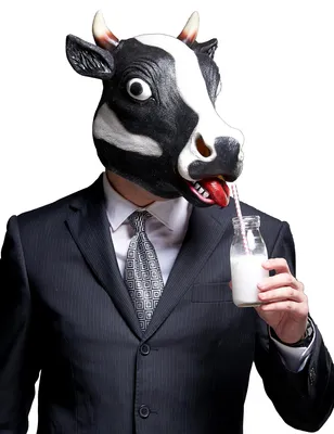 Image de Masque drôle de vache pour adultes noir-blanc - taille unique