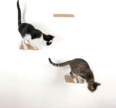 Productafbeelding van Famanu Kattenplankenset van 3 - Klimmogelijkheid voor katten - Wit - Extra lang