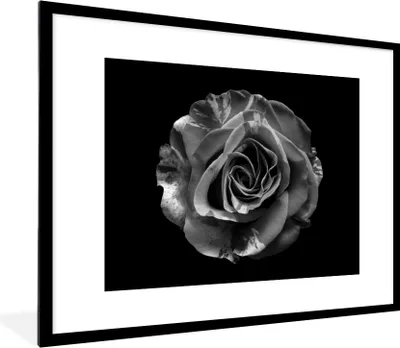 Produktbild von MuchoWow® Gerahmtes Poster Blumen - Rose - Schwarz - Weiß - Botanisch 80x60 cm - Poster mit Schwarzem Bilderrahmen Wandposter Rahmen Foto Bilder - Schlafzimmer-Dekorationen - Fotoposter