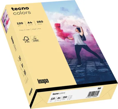 Image de inapa 2100011340 Papier multifonctionnel tecno® colors - A4, 120 g/qm, chamois clair, 250 feuilles