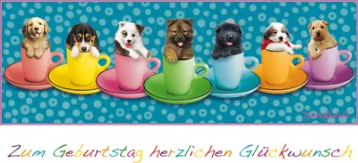 Produktbild von Geburtstag – Glückwunschkarte im Format 11,5 cm x 22 cm mit