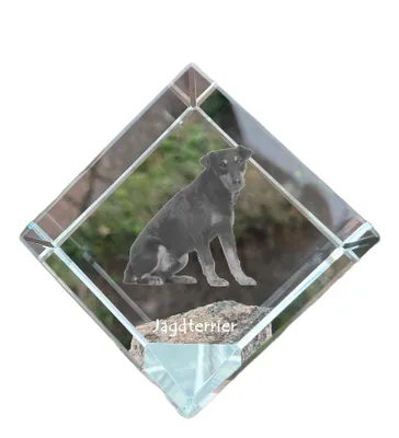 Immagine prodotto di Jagdterrier dado di cristallo con cane Art-Dog
