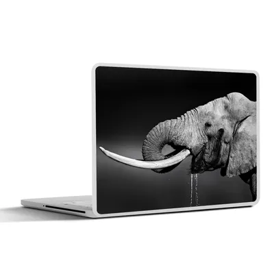 Produktbild von MuchoWow® Laptop Aufkleber Sticker Cover Elefant - Wasser - Tiere - Schwarz - Weiß 31x22.5 cm - Laptop-Deko