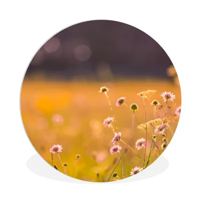 Produktbild von MuchoWow® Rundes Wandbild - Runde Bilder Blumen - Hell - Rosa Ø 90 cm Kreis Wanddekoration Kunststoff - Wandkreis - Wandschmuck - Wand-Kreis - Wohnzimmer - Bild - Runde - Wanddeko - Dibond - Kunstdrucke