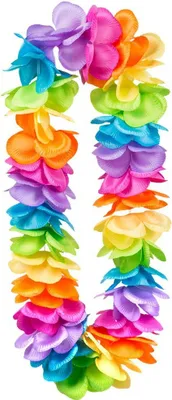 Immagine prodotto di Ghirlanda hawaiana arcobaleno deluxe XL 50 cm