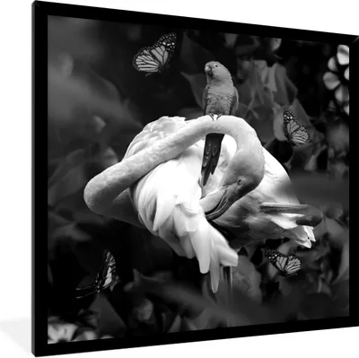Produktbild von MuchoWow® Gerahmtes Poster Flamingo - Tiere - Dschungel - Schwarz - Weiß 40x40 cm - Poster mit Schwarzem Bilderrahmen Wandposter Rahmen Foto Bilder - Mit Rahmen - Wanddekoration Schlafzimmer