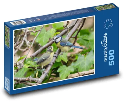 Zdjęcie produktu dla martinpuzzle - Puzzle 500 - Modraszka (ptak), drzewo