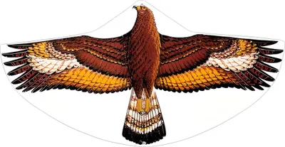 Image de Günther® 1146 Günther® Lenkdrachen Steinadler braun