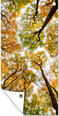 Produktbild von MuchoWow® 80x160 cm Outdoor-Poster Gartendeko Sichtschutz Garten Poster für den Garten  Herbst - Himmel - Baum